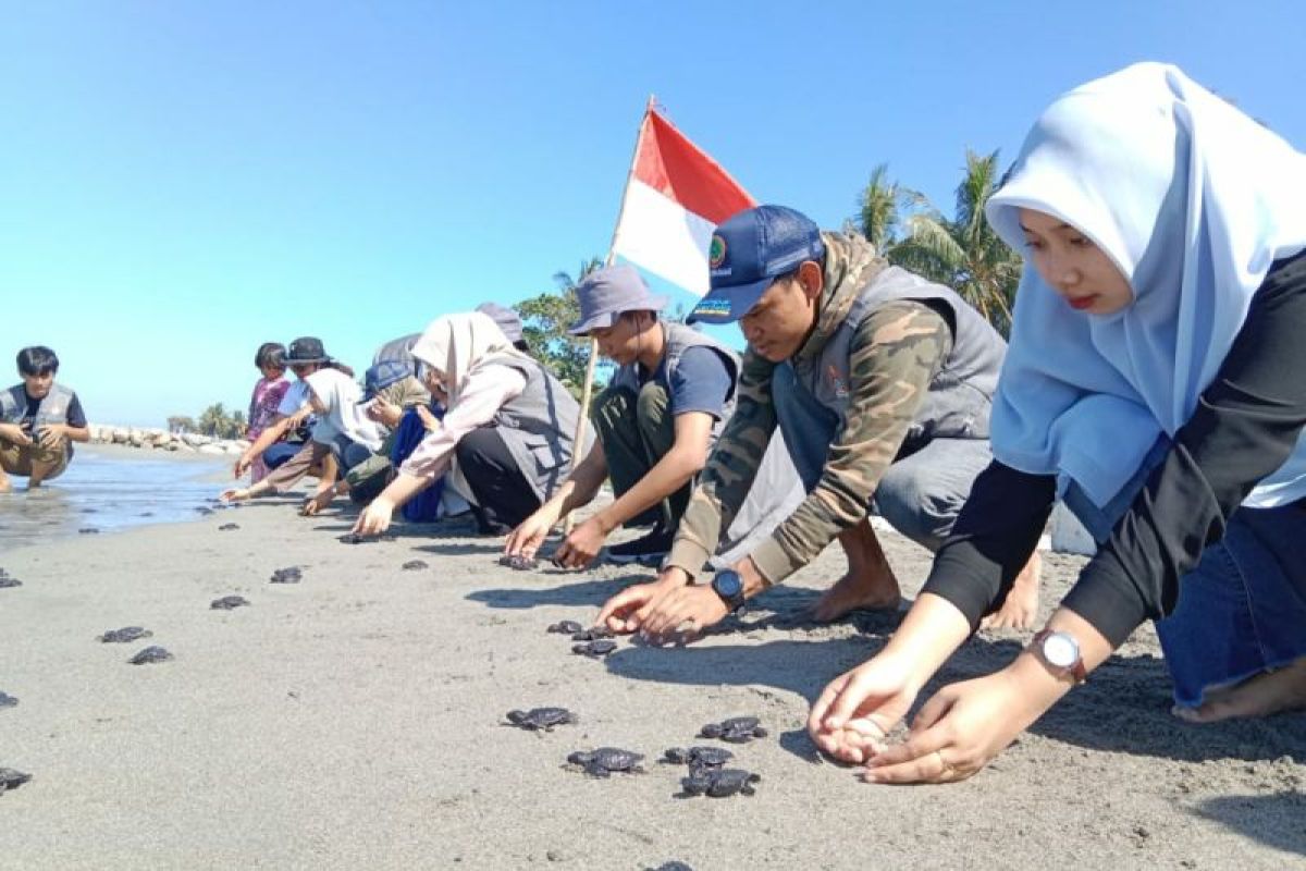 Dukung Pelestarian Lingkungan Lewat Pelepasan Tukik